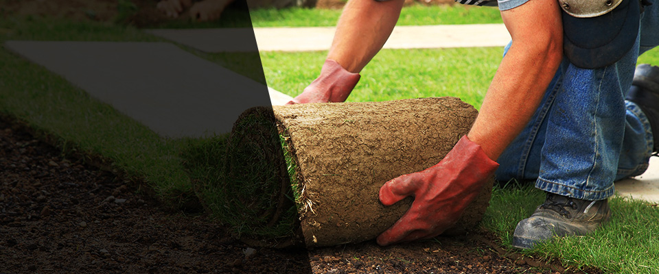 Islip Terrace Landscapers